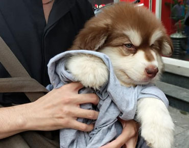 Susanne Wateker met haar puppy